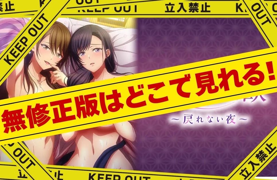 夫婦交歓~戻れない夜~|無修正版はどこで見れる?規制解除版をお得に見る方法!